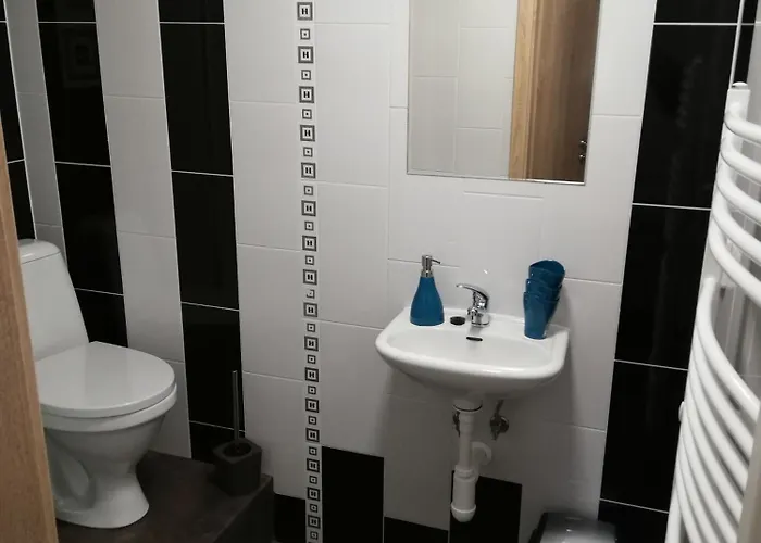 Svaty Petr Gasthuis Boží Dar